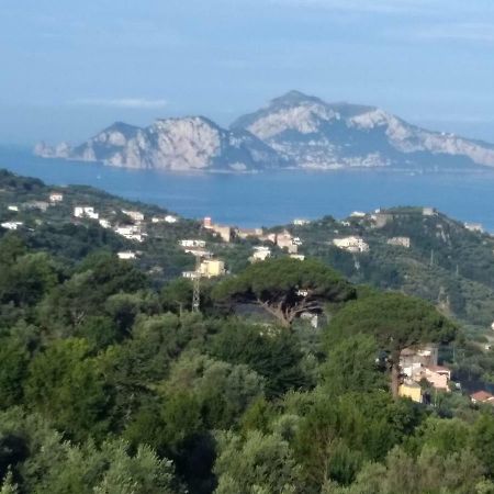 Apartamento La Vista Sul Golfo Massa Lubrense Exterior foto