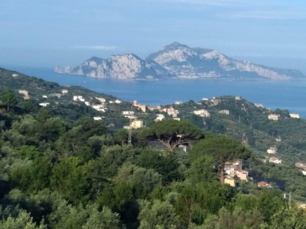 Apartamento La Vista Sul Golfo Massa Lubrense Exterior foto